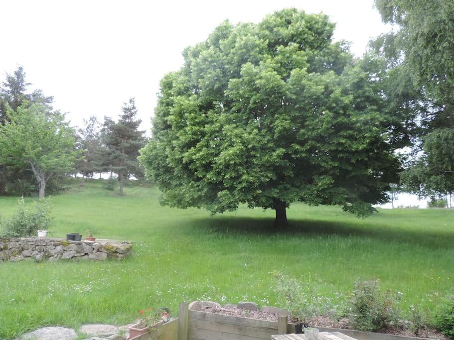 Chambre A La Campagne Saint Andre De Chalencon 外观 照片